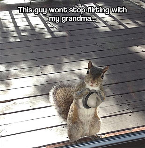 Cute Squirrels And A Miss You Quotes. QuotesGram