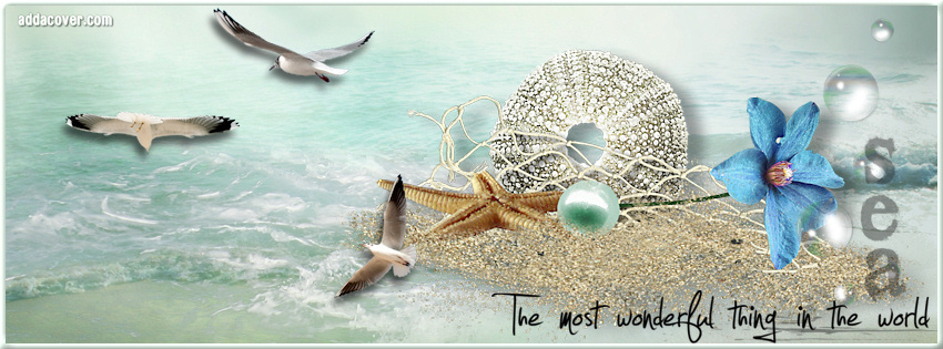 Beach Cover Photo Quotes Quotesgram Beach Cover Photo Quotes Quotesgram