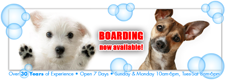 Pet Grooming Quotes QuotesGram