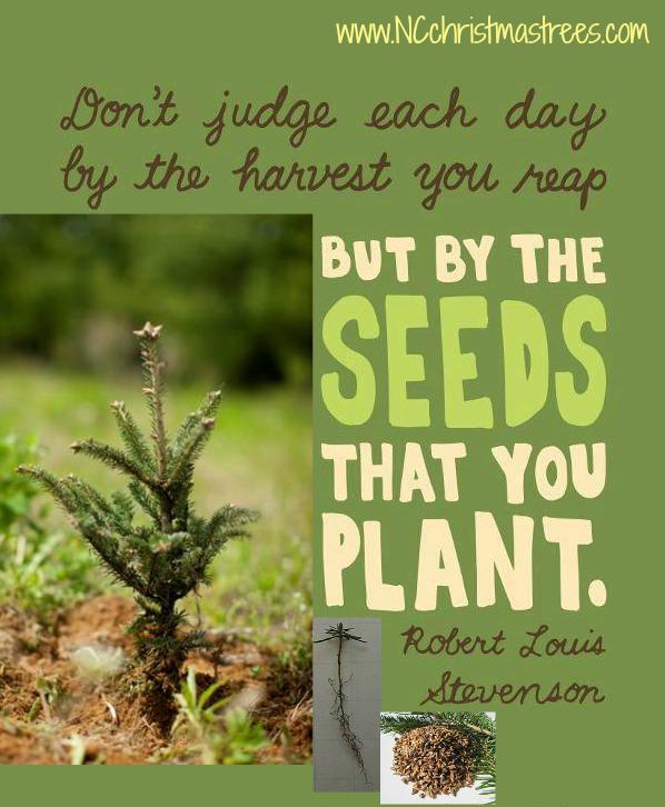 Planting Quotes QuotesGram
