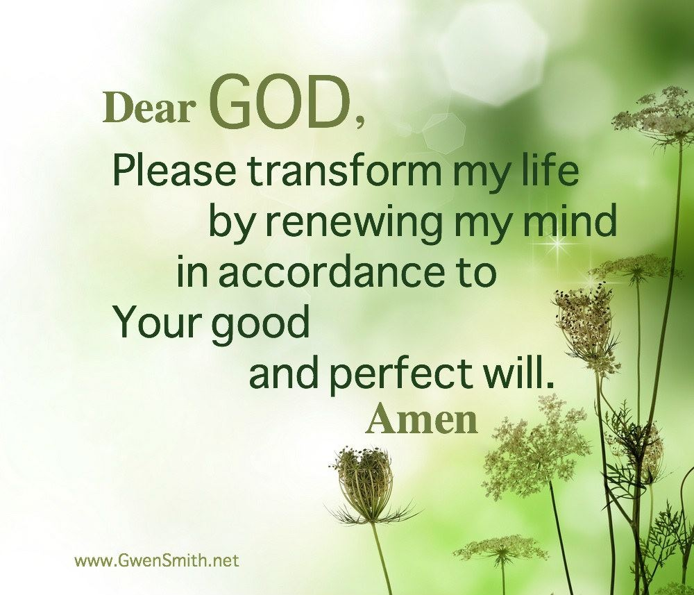 My Image 32