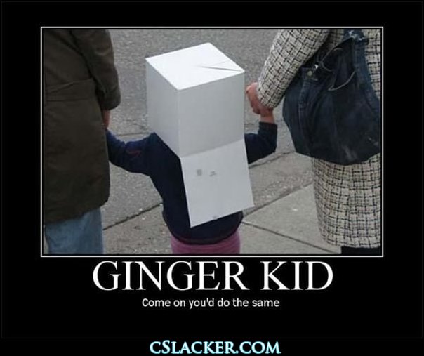 Funny ginger pics Ginger Pictures