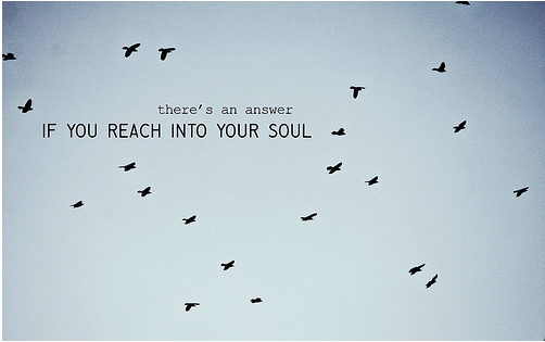 Quotes About Birds Flying Away. QuotesGram