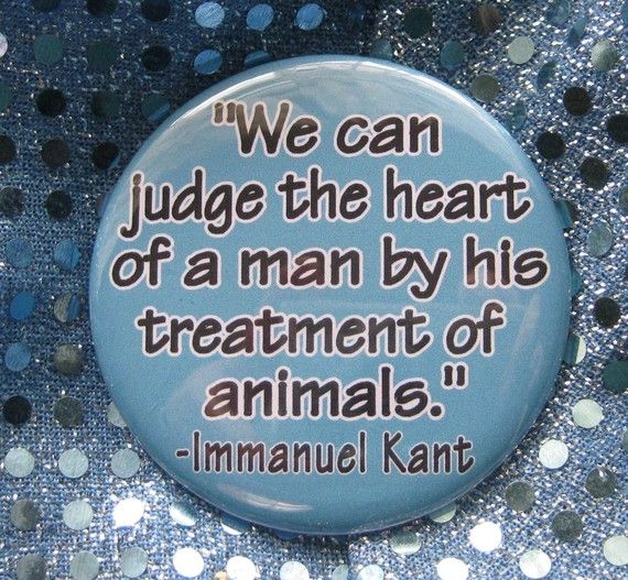 Quotes About Treatment Of Animals QuotesGram quotes-about-treatment-of-animals-quotesgram