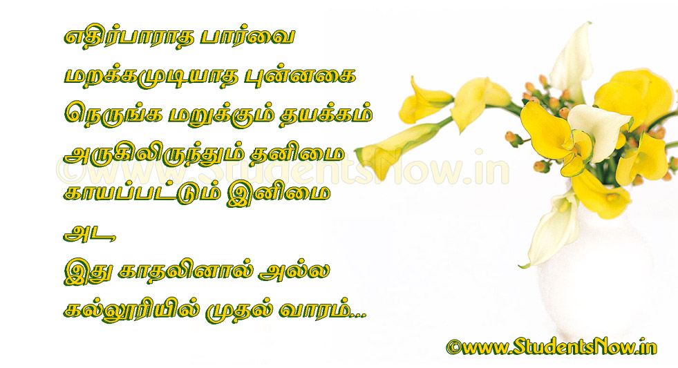 Image Result For Wedding Wishes Lines In English Image Result For Wedding Wishes Lines In English