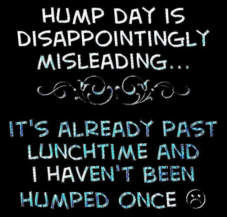 Minion Hump Day Quotes Quotesgram