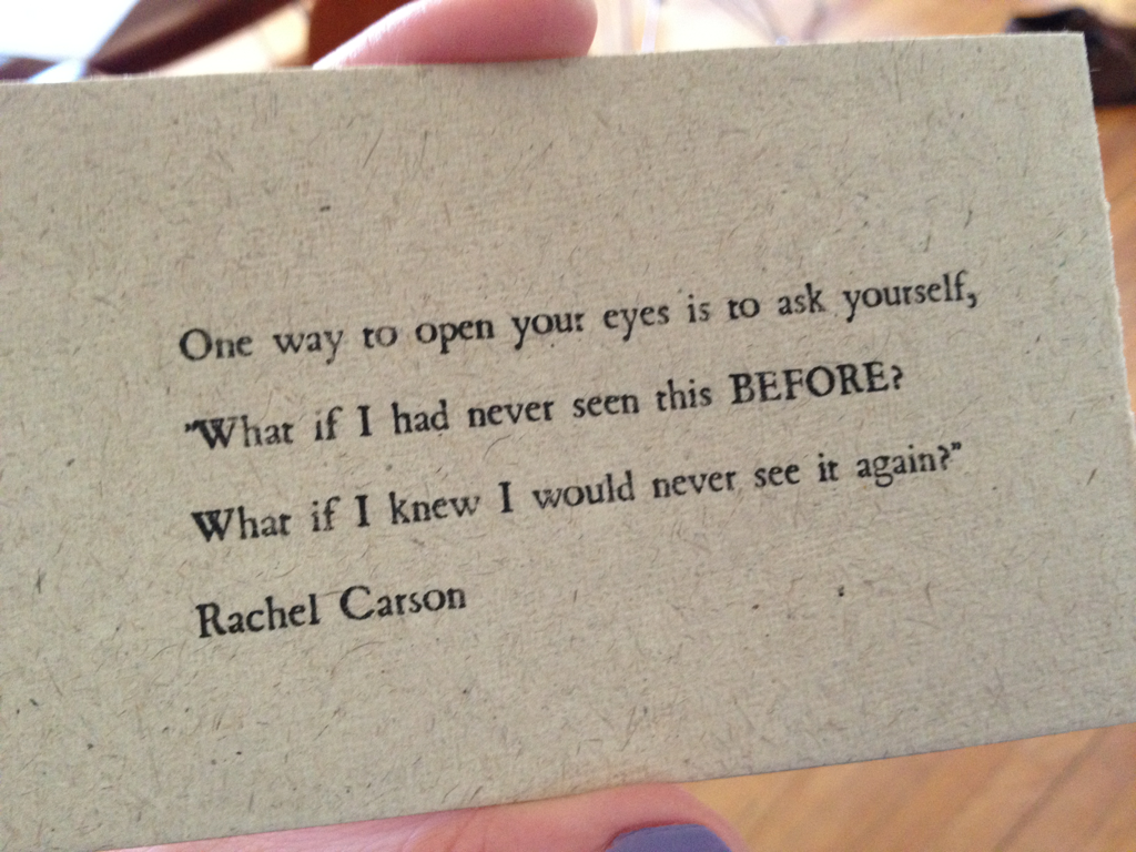 Surprise Love Quote 1