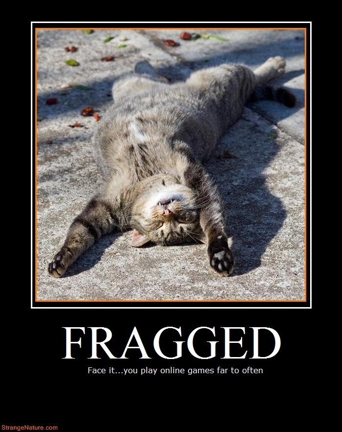 Inspirational Cat Quotes QuotesGram