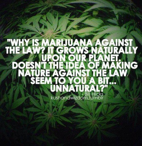 Quotes Against Legalizing Marijuana. QuotesGram Quotes Against Legalizing Marijuana. QuotesGram
