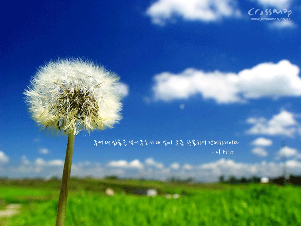 Bible Quotes Desktop Backgrounds. QuotesGram