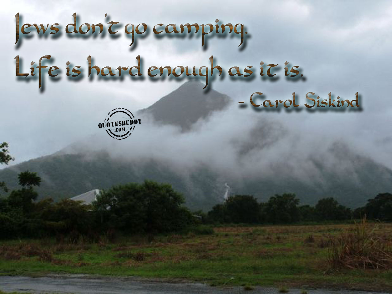  Cute Camping Quotes  QuotesGram
