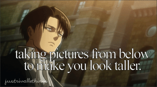 Captain Levi Quotes Quotesgram