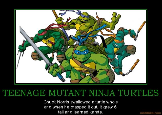 Teenage Mutant Ninja Turtles Funny Quotes. QuotesGram