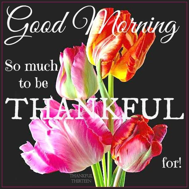 Good Morning Quotes Grateful. QuotesGram