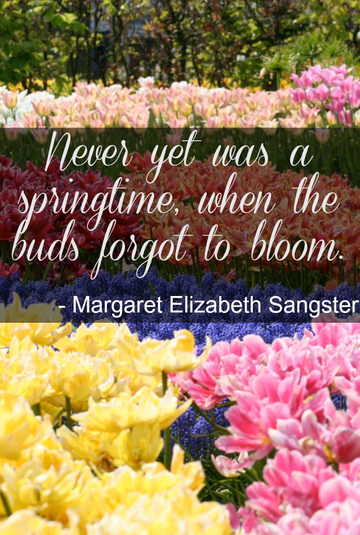 Best Quotes About Spring Quotes About Spring Time. Quotesgram