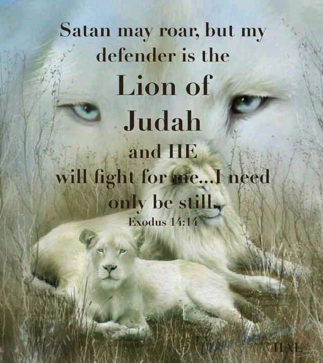Lion Of Judah Quotes Lion Bible Quotes. Quotesgram