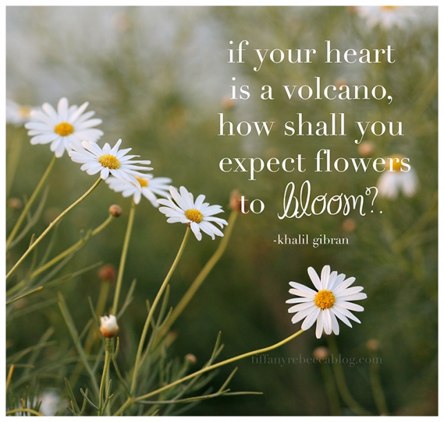 Quotes About Blooming. QuotesGram