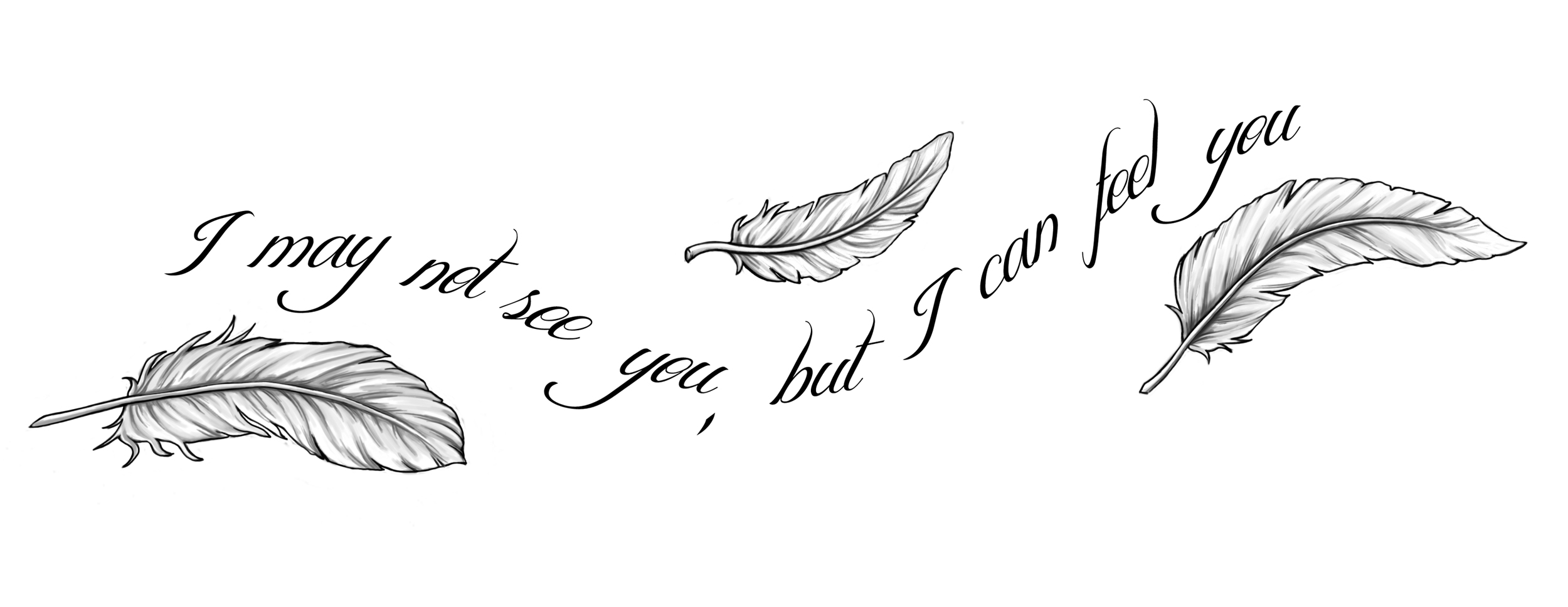 Quotes About Love And Feathers Quotesgram