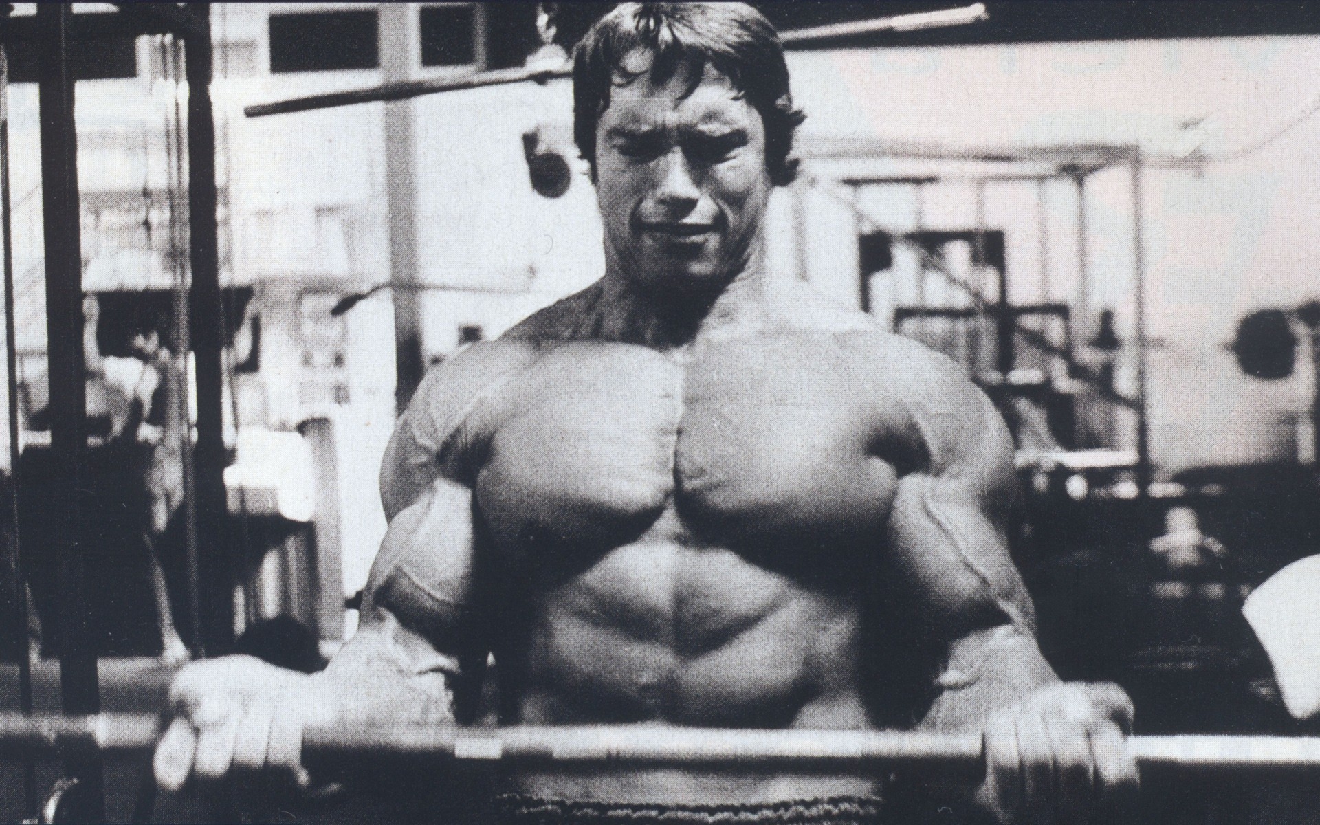 Arnold Schwarzenegger Quotes On Bodybuilding. QuotesGram