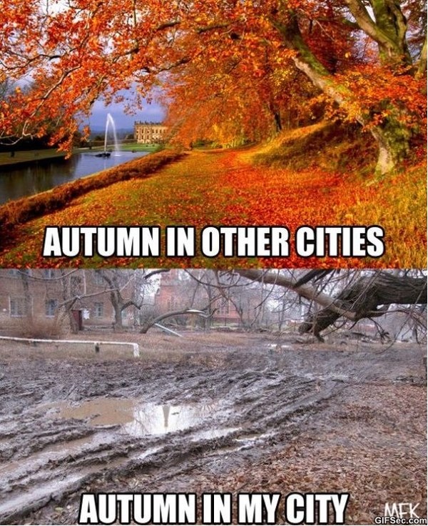 funny-fall-quotes-autumn-quotesgram
