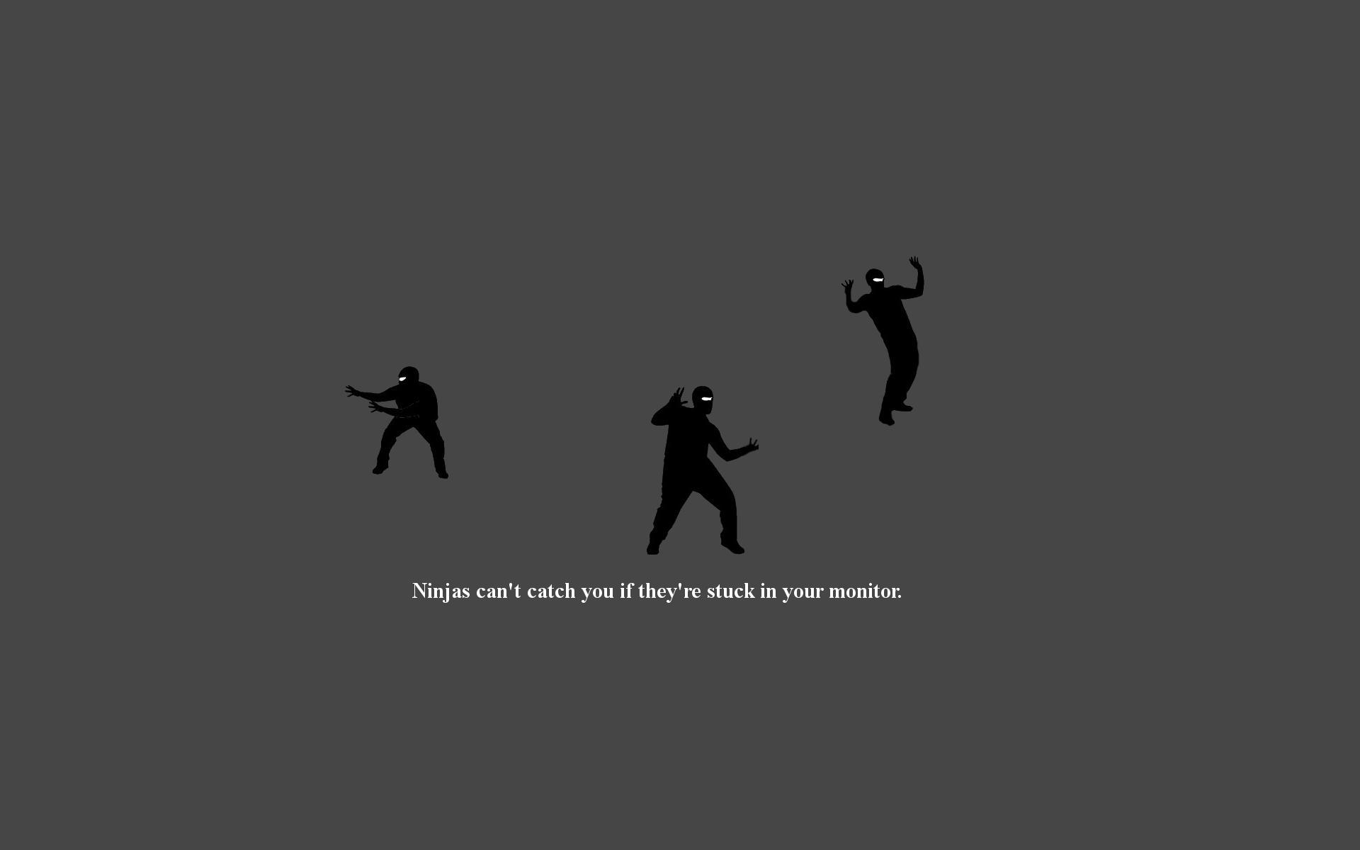 Help Funny Quotes Ninjas 3. QuotesGram