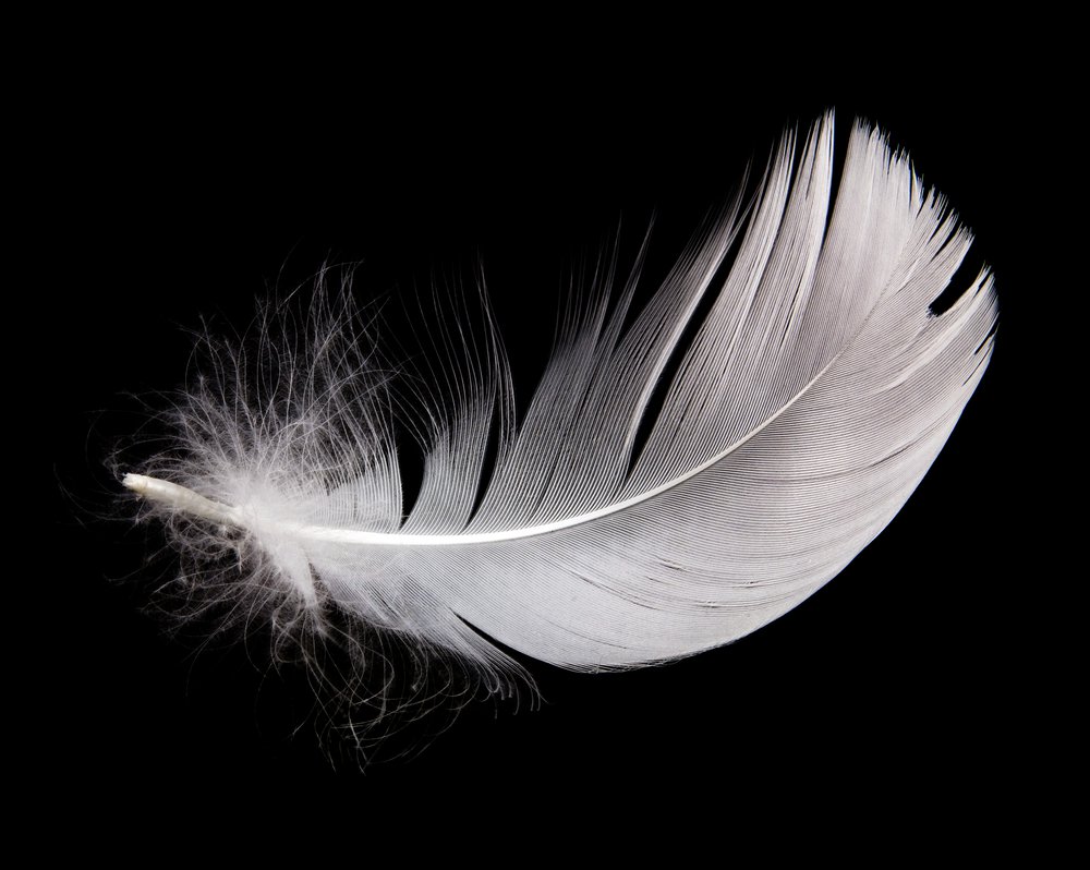 White Feather Hope Quotes. QuotesGram