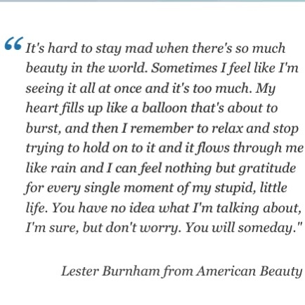 American Beauty Quotes Quotesgram