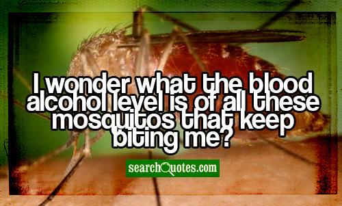 Fun Summer Drink Quotes. QuotesGram