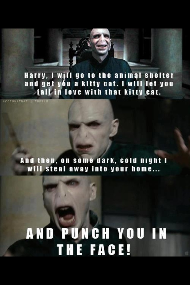 Punch You In The Face Quotes. QuotesGram