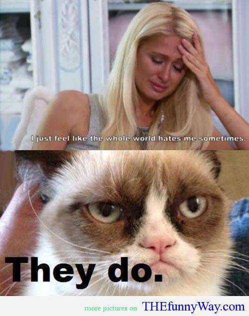 grumpy cat titanic far is fine