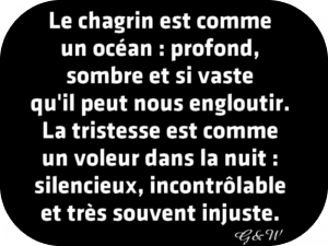 Chagrin Quotes Quotesgram