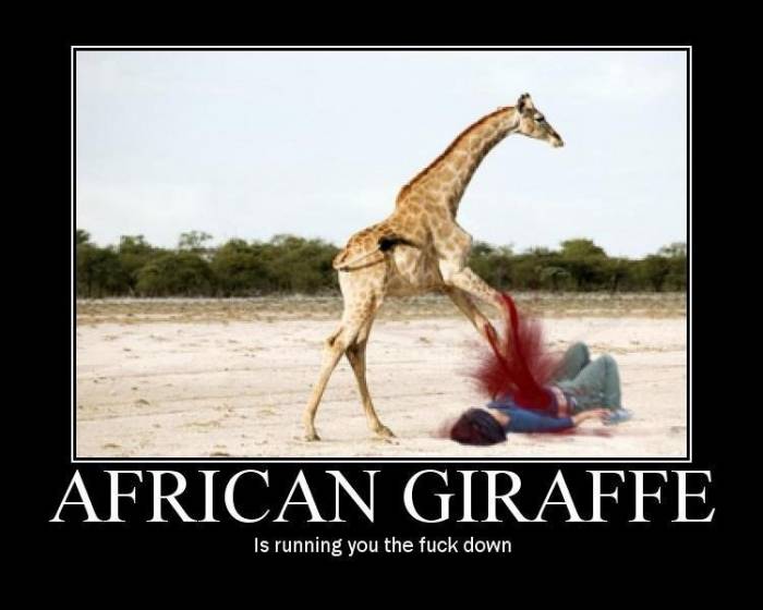 Giraffes Life Quotes. QuotesGram