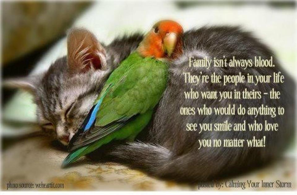 unlikely-friends-quotes-quotesgram