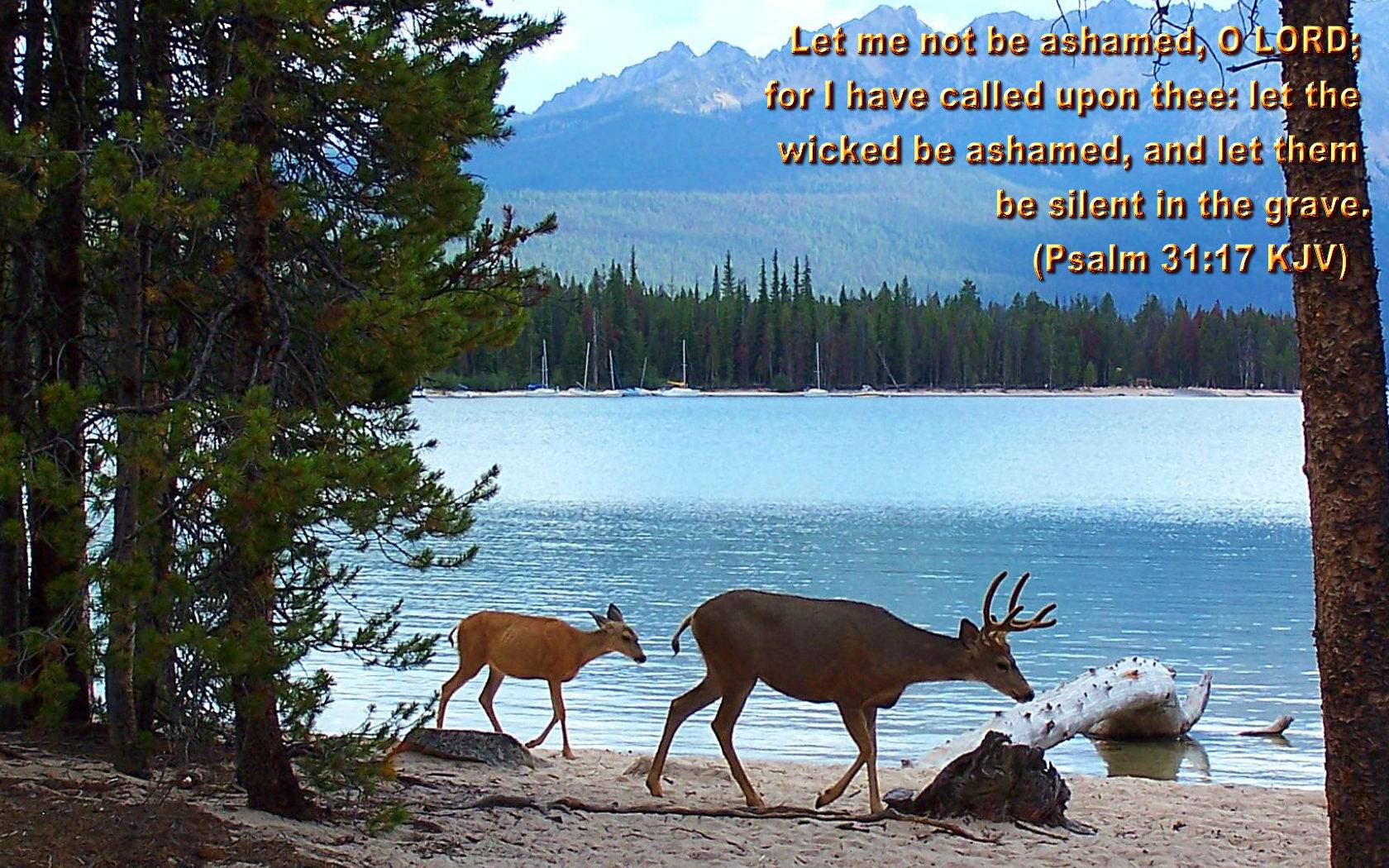 Silence Bible Quote - Zephaniah 3:17