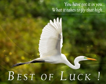 good night and good luck anyalysis good night and good luck anyalysis