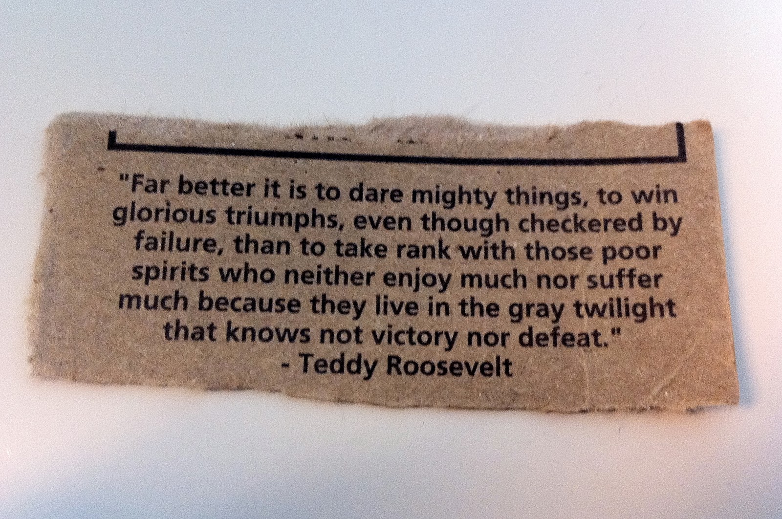 Teddy Roosevelt Leadership Quotes. QuotesGram