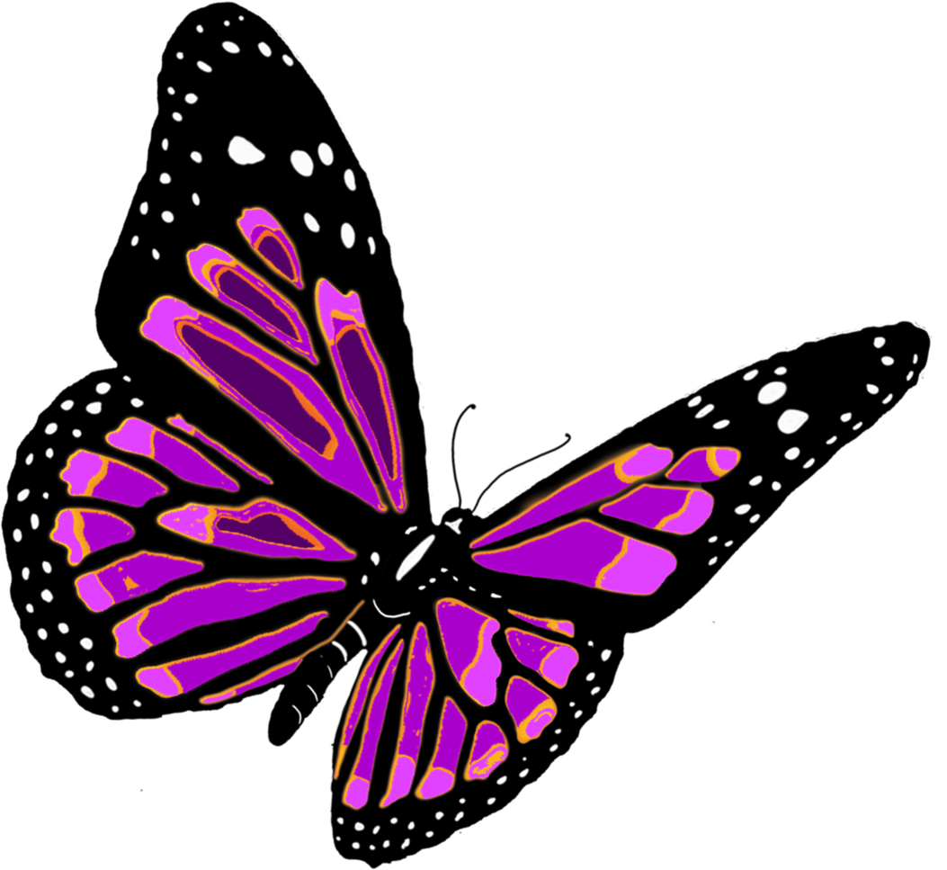 Real Purple Butterfly Quotes. QuotesGram