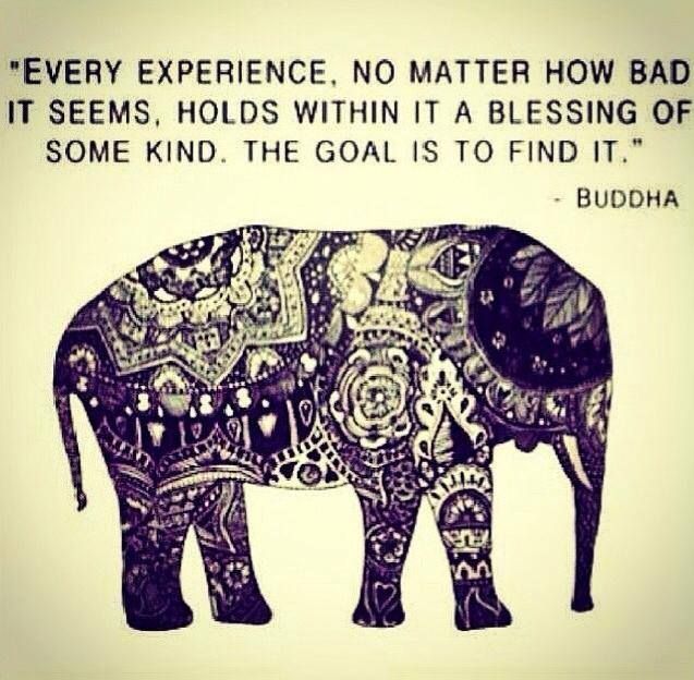 Elephant Quotes And Sayings. QuotesGram