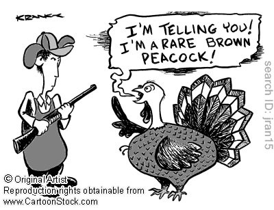 Turkey Hunting Funny Quotes. QuotesGram
