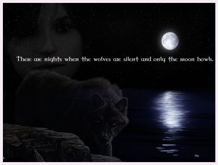 Wolf Backgrounds Quotes. QuotesGram