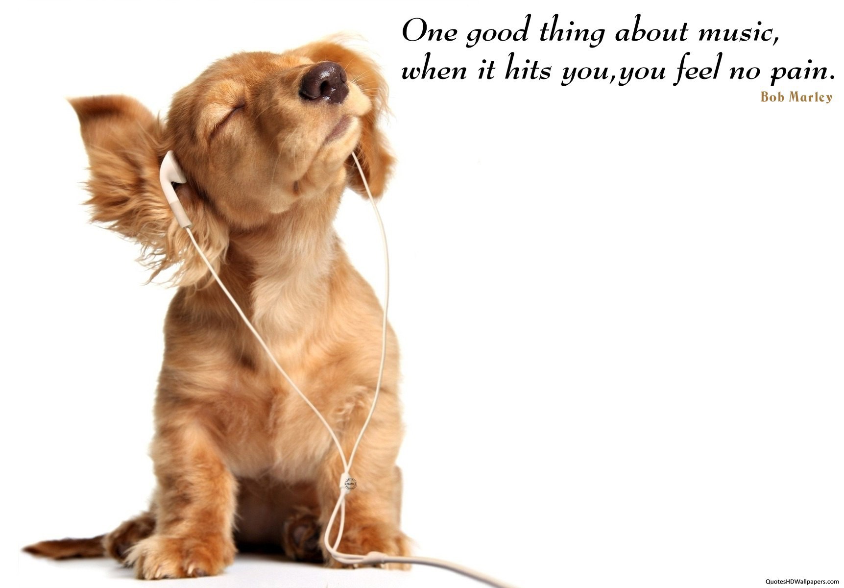 Good Dog Quotes QuotesGram