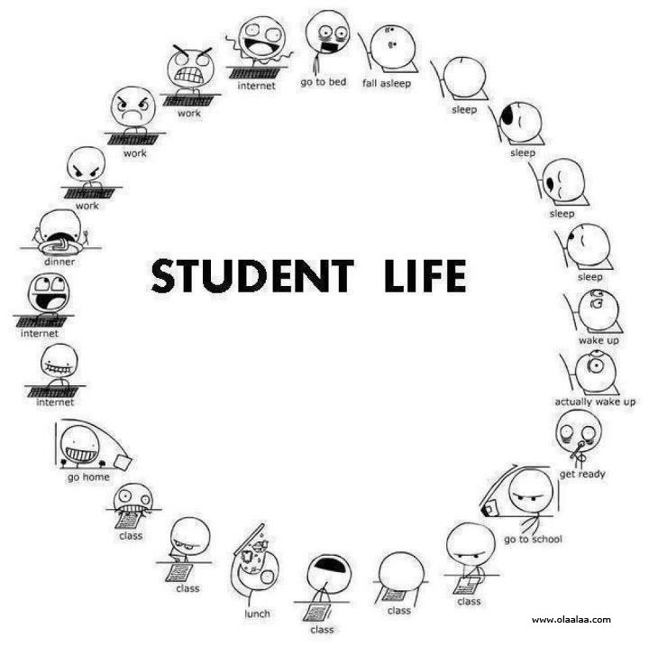 Quotes About Student Life. QuotesGram