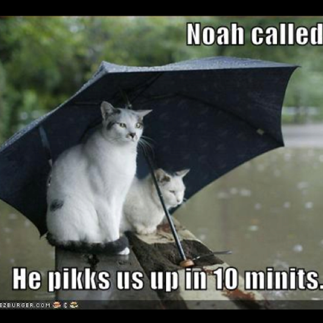 Humorous Quotes About Rain. QuotesGram