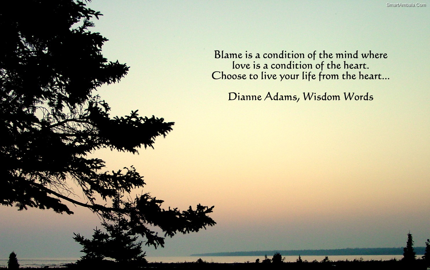 Funny Quotes Blame Quotesgram