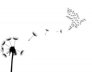 9 Powerful Symbolic Meanings of Dandelion Tattoos