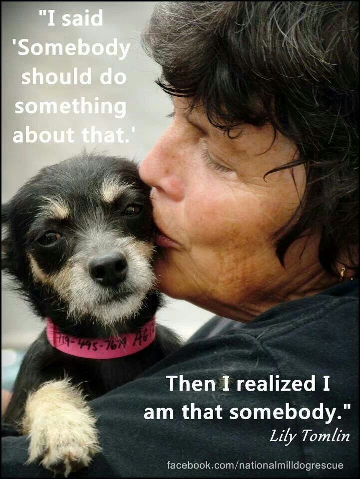 Inspirational Quotes About Dog Rescue. QuotesGram