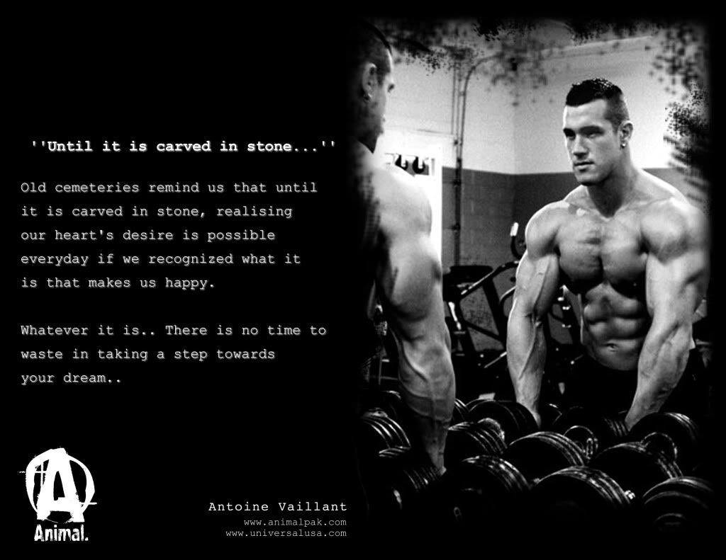 Animal Bodybuilding Quotes. QuotesGram