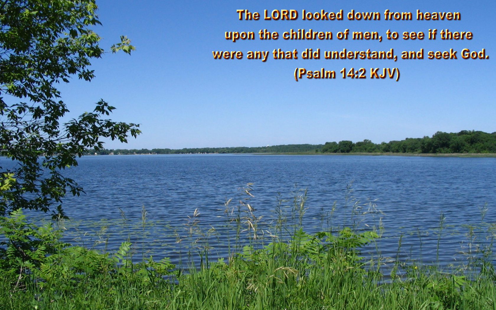 Matthew 7:24