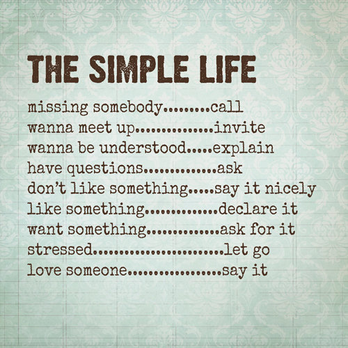 Simple Things In Life Funny Quotes. QuotesGram