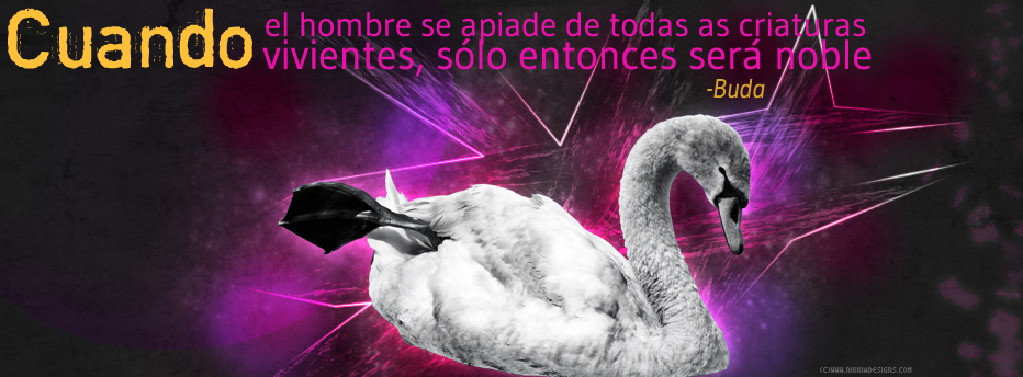 Spanish Quotes Facebook Covers Quotesgram Spanish Quotes Facebook Covers Quotesgram